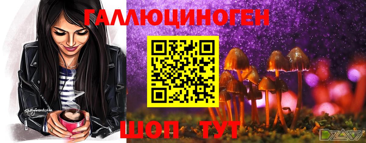 Псилоцибиновые грибы Magic Shrooms  Псилоцибиновые грибы GOLDEN TEACHER  Волхов  Вход с VPN 